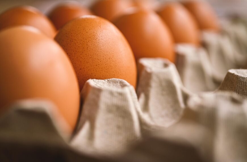 US Takes Action on Bird Flu as Egg Prices Soar