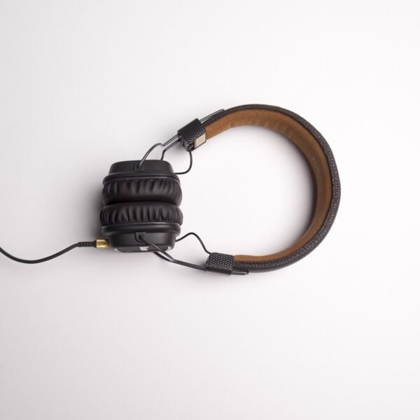 Silent Album: Musicians Fight Back Against AI Copyright…