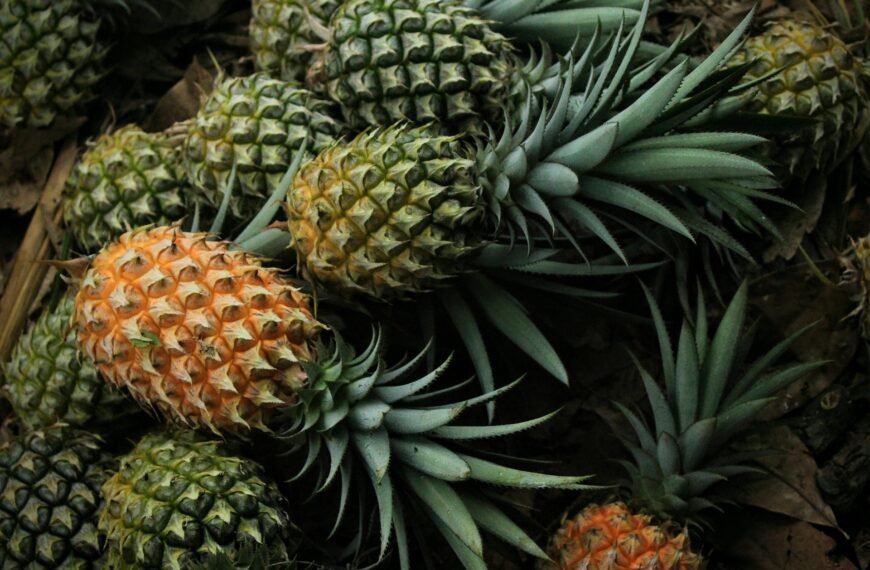 Pineapple: The Golden Superfruit You Need in Your…