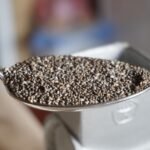 Chia vs Sabja Seeds: Which One Should You Eat?
