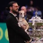 Whippet Miuccia Wins Big at Crufts…