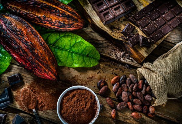 Cocoa for Strong Muscles – The Secret Power&hellip;