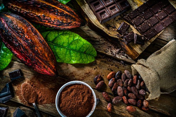 Cocoa for Strong Muscles – The Secret Power of Chocolate