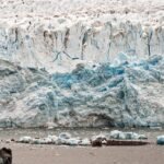 Ancient Humans Survived in Extreme Ice Age on Tibetan Plateau