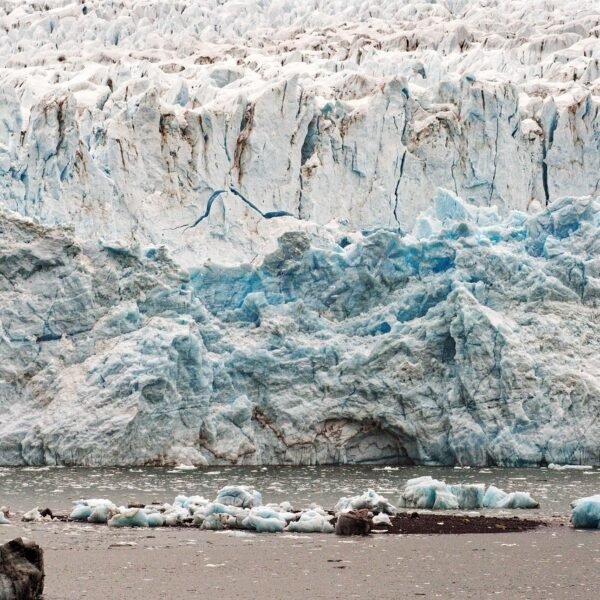 Ancient Humans Survived in Extreme Ice Age on…