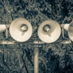 The Hidden Danger of Noise That’s Harming Your Health