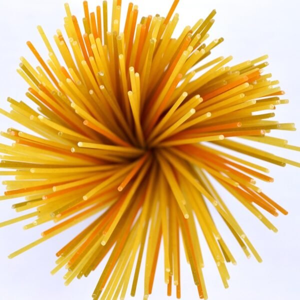 The Science of Spaghetti: How Pasta Reveals the&hellip;