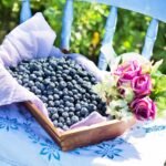 10 Breakfast Superfoods That Help You Age Backwards