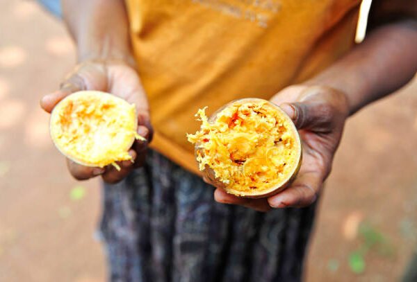 Why Bael Juice Is A Must-Have This Summer