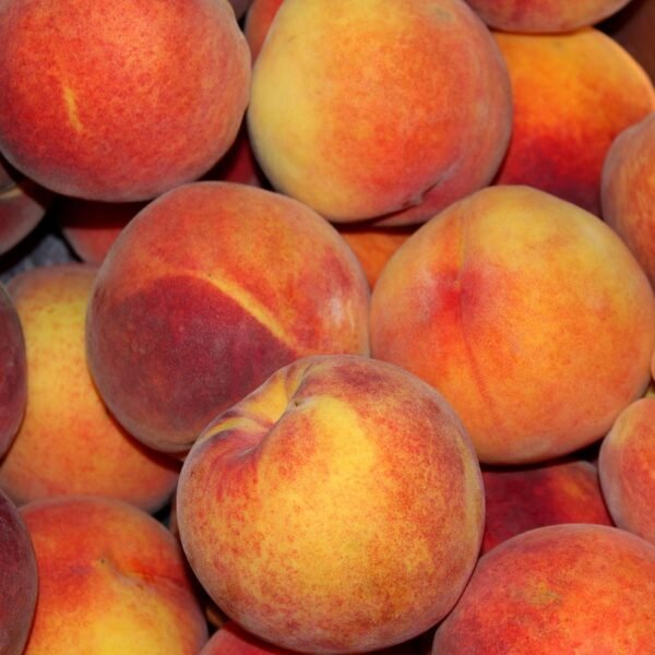 10 Surprising Benefits of Eating Peaches Every Day