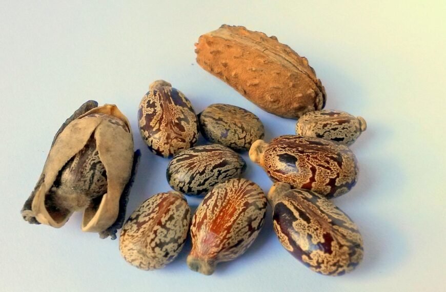 8 Surprising Health Benefits of…