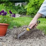  How Gardening Keeps Your Mind and Body Young