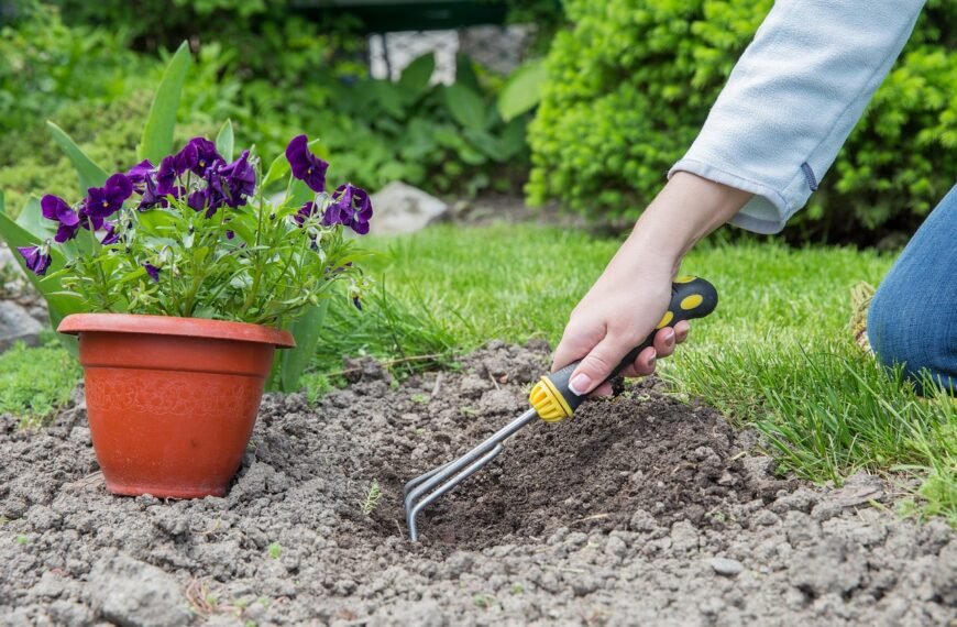  How Gardening Keeps Your Mind…