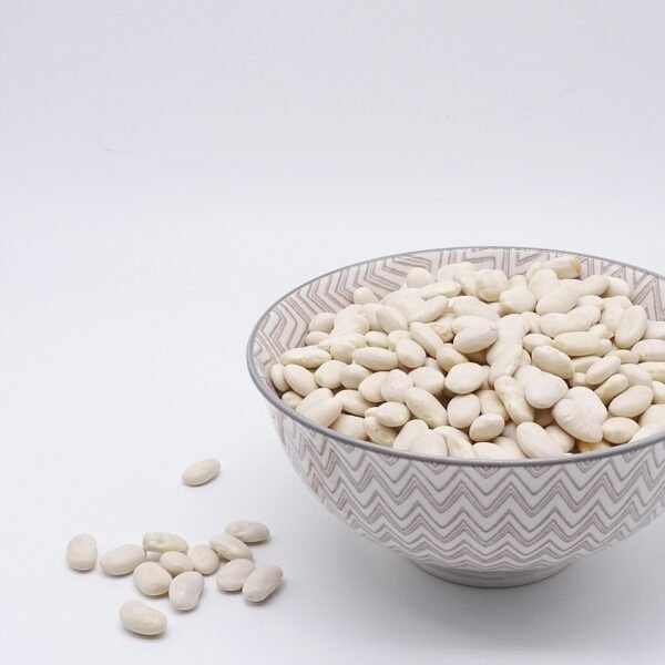 Top Protein Foods Every Vegetarian Needs to Eat