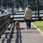 Why Iran Is Banning Dog Walking Again