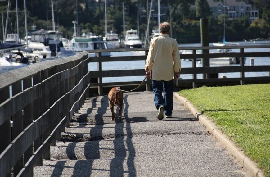 Why Iran Is Banning Dog Walking Again