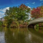 Why Minneapolis Feels So Happy All Year Round