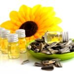 Are Seed Oils Really Bad for You? Here’s the Truth You Need to Know