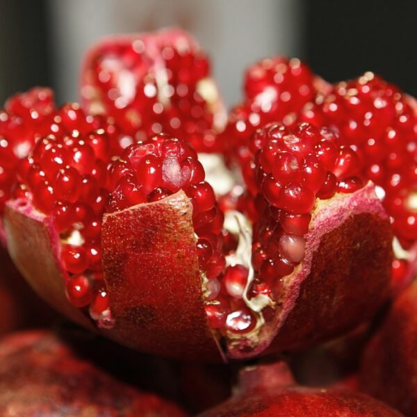 Don’t Throw It Away: Why Pomegranate Peel Is&hellip;