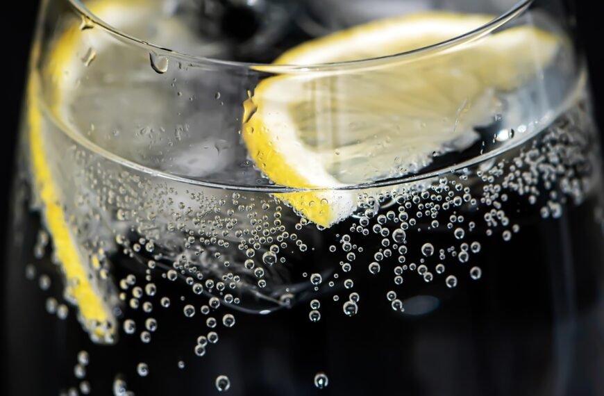Morning Drink Face-Off: Lemon Water or Chia Water – What’s Better for You?