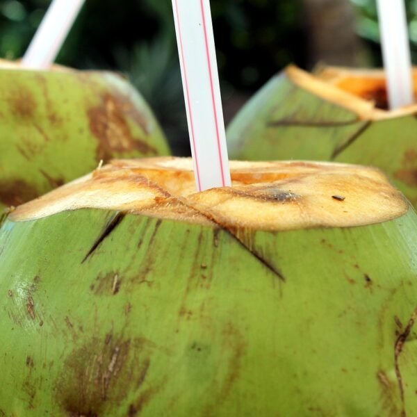 Coconut Water and Weight Loss: What You Need&hellip;
