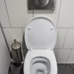 Can You Really Get Sick from a Toilet Seat?