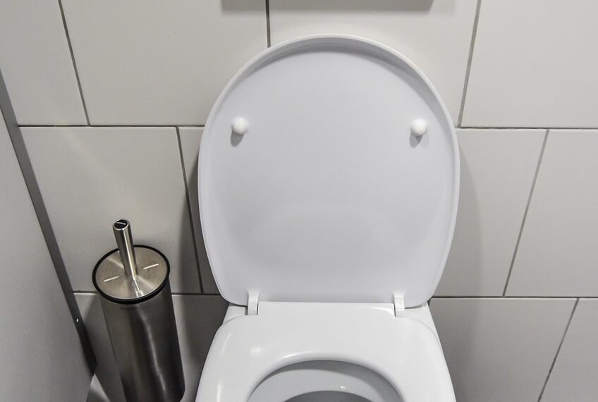 Can You Really Get Sick from a Toilet Seat?