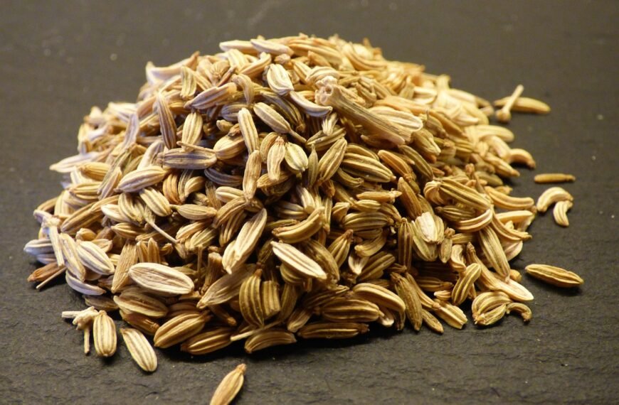 Fennel Seeds For Digestion: Simple Ways To Use Everyday