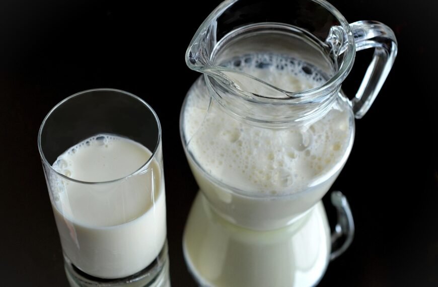 Milk or Curd – Which One Helps You Lose Weight and Improve Gut Health?