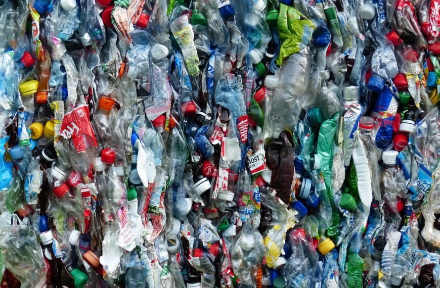 Can Plastic Recycling Survive the Global Crisis?
