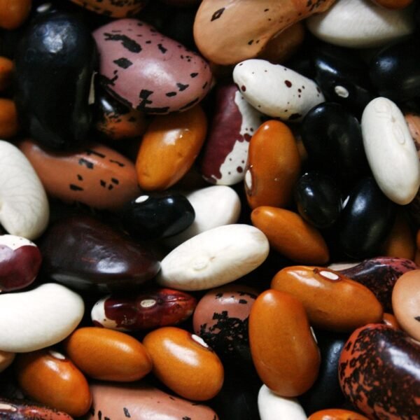 The Surprising Health Benefits of Beans