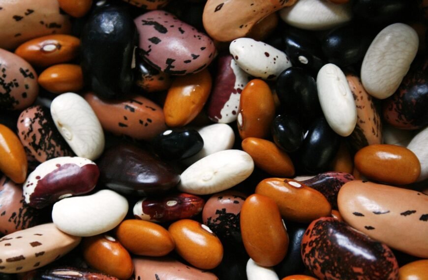 The Surprising Health Benefits of Beans