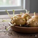 Is It Safe To Eat Sprouted Potatoes? Here’s What You Should Know