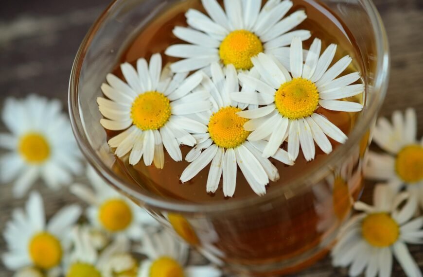 What Really Happens When You Drink Chamomile Tea Every Night