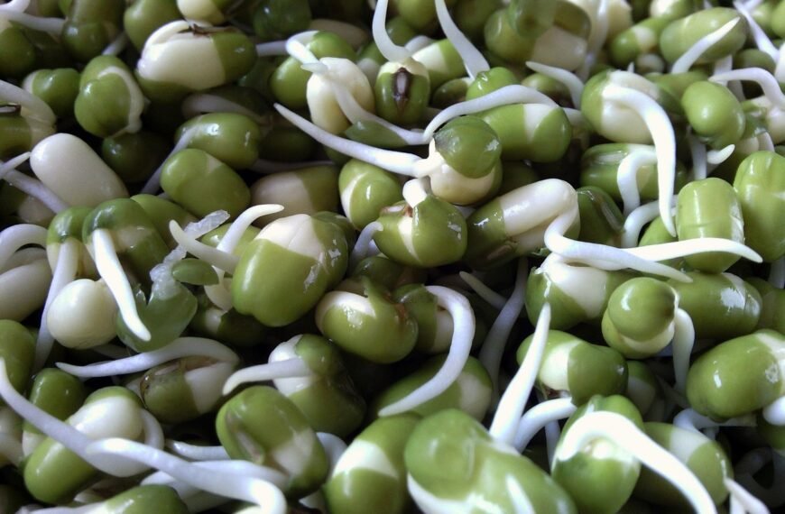 What Happens When You Eat…