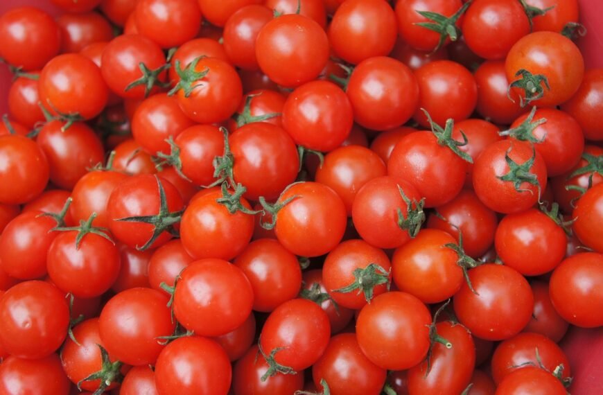 Tomato Power: 6 Surprising Health Benefits Backed by Science