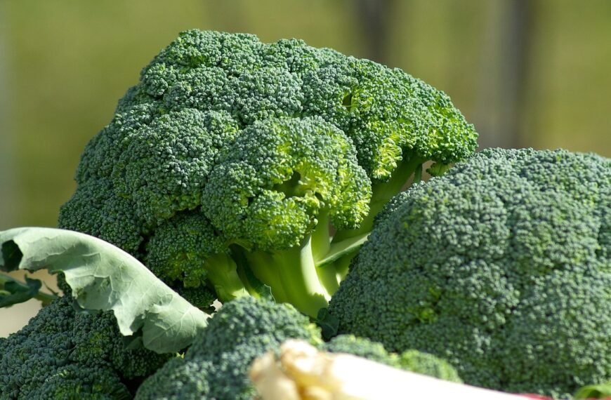 Broccoli’s Secret: The Best Cooking Method for Maximum Health